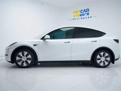 Tesla Model Y Edition - фото 10
