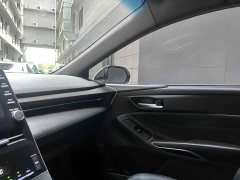 2.5L Luxury Edition VI - фото 12
