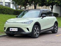 smart#1 Edition - фото 1