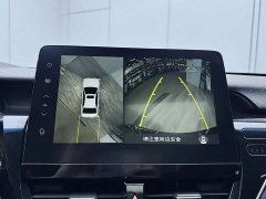 2.5G Luxury Edition - фото 16