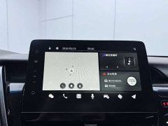 2.5G Luxury Edition - фото 17