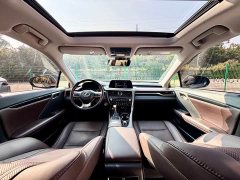 Lexus RX 2020 facelift 300 two-wheel drive comfort version - фото 14