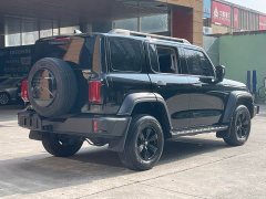 Tank 300 2.0T - фото 4