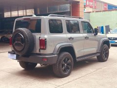 Tank 300 Off-Road Edition 2.0T - фото 4
