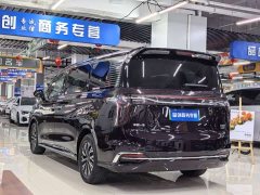 Hongqi HQ9 PHEV 2.0T AWDLuxury Edition - фото 9