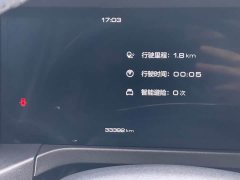 Tank 300 2.0T - фото 13