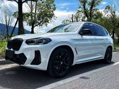 BMW X3 xDrive30i Deluxe Version M - фото 1