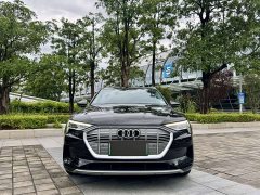 Audi e-tron 55 quattro Version - фото 2