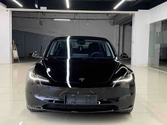 Tesla Model 3 Edition - фото 2