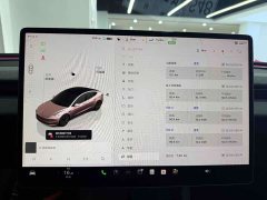 Tesla Model 3 Edition - фото 9