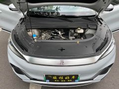 BYD PLUS 430KM Premium Version - фото 10