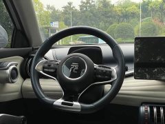 BYD PLUS 430KM Premium Version - фото 17