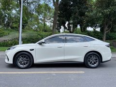 BYD 06 DM-i Smart Drive Edition 80KMLuxury Version - фото 4