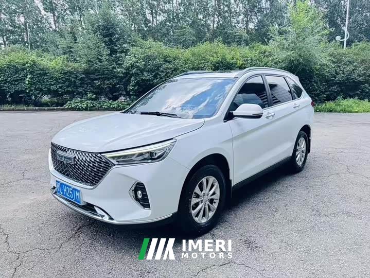 Haval M6 PLUS 1.5T DCTLuxury Version - автомобиль из Китая