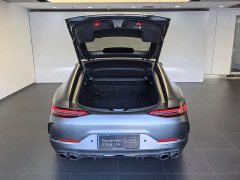 Mercedes-Benz AMG GT AMG GT 50 - фото 12
