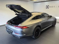 Mercedes-Benz AMG GT AMG GT 50 - фото 13