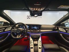 Mercedes-Benz AMG GT AMG GT 50 - фото 14