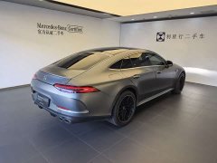 Mercedes-Benz AMG GT AMG GT 50 - фото 9
