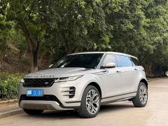 Land Rover L 249PS Luxury Edition - фото 1
