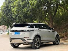 Land Rover L 249PS Luxury Edition - фото 3