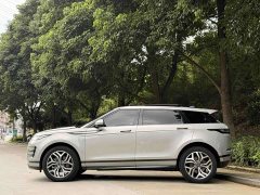 Land Rover L 249PS Luxury Edition - фото 4