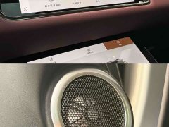 Land Rover L 249PS Luxury Edition - фото 9