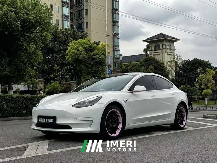 Tesla Model 3 Standard Range Edition 3D1 - автомобиль из Китая
