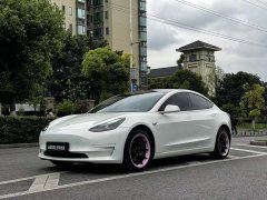 Tesla Model 3 Standard Range Edition 3D1 - фото 1