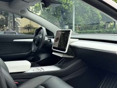 Tesla Model 3 Standard Range Edition 3D1 - фото 10