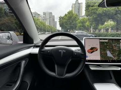 Tesla Model 3 Standard Range Edition 3D1 - фото 13
