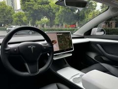 Tesla Model 3 Standard Range Edition 3D1 - фото 14