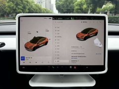 Tesla Model 3 Standard Range Edition 3D1 - фото 15