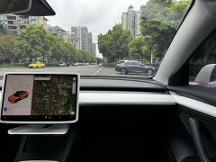 Tesla Model 3 Standard Range Edition 3D1 - фото 16