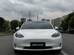 Tesla Model 3 Standard Range Edition 3D1 - фото 2