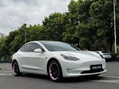 Tesla Model 3 Standard Range Edition 3D1 - фото 3
