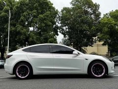 Tesla Model 3 Standard Range Edition 3D1 - фото 4