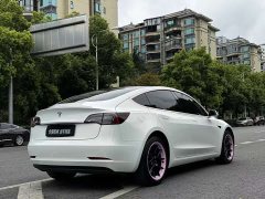 Tesla Model 3 Standard Range Edition 3D1 - фото 5