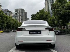 Tesla Model 3 Standard Range Edition 3D1 - фото 6