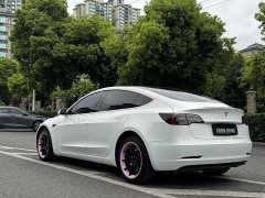 Tesla Model 3 Standard Range Edition 3D1 - фото 7
