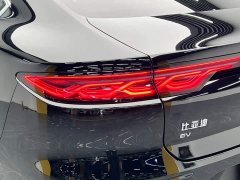 BYD EV 506KMPremium Version - фото 10