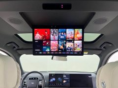 Li Auto L9 Max - фото 19