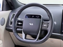 Li Auto L9 Max - фото 20