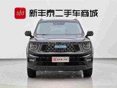 Haval PLUS DHT-PHEV 105km EditionPlus - фото 2
