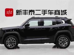 Haval PLUS DHT-PHEV 105km EditionPlus - фото 4