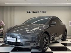 Tesla Model Y Edition - фото 1