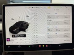 Tesla Model Y Edition - фото 14