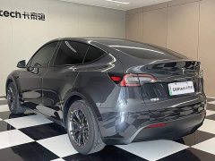 Tesla Model Y Edition - фото 6