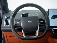 Li Auto L8 Pro - фото 17