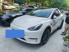 Tesla Model Y Long Range Edition - фото 1