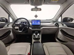 BYD Pro 401KM Luxury Version - фото 18